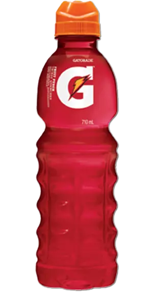 (image for) GATORADE Fruit Punch